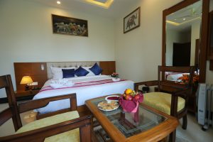 Garden Super Deluxe Room (2)